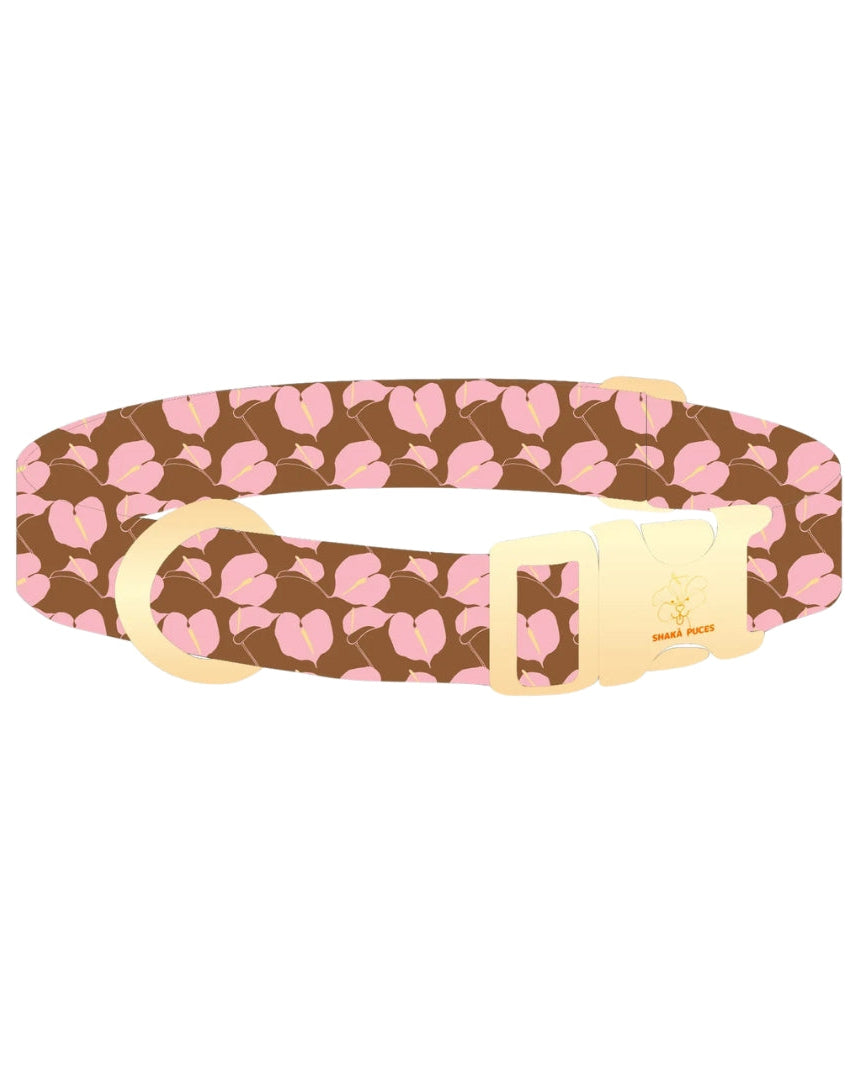 Hilo Anthurium Dog Collar in Boba – Mochi Nose