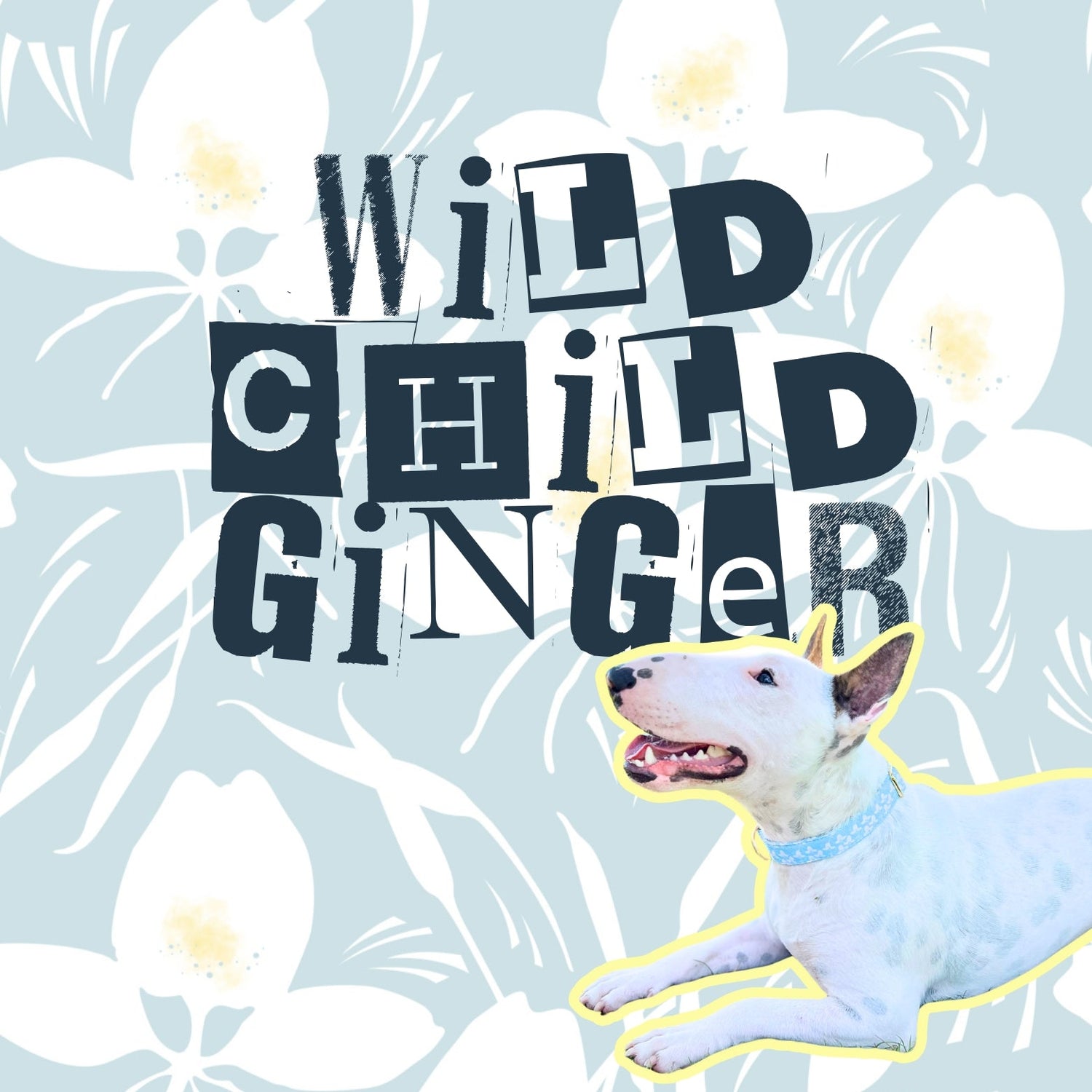 HAWAIIAN GINGER COLLARS